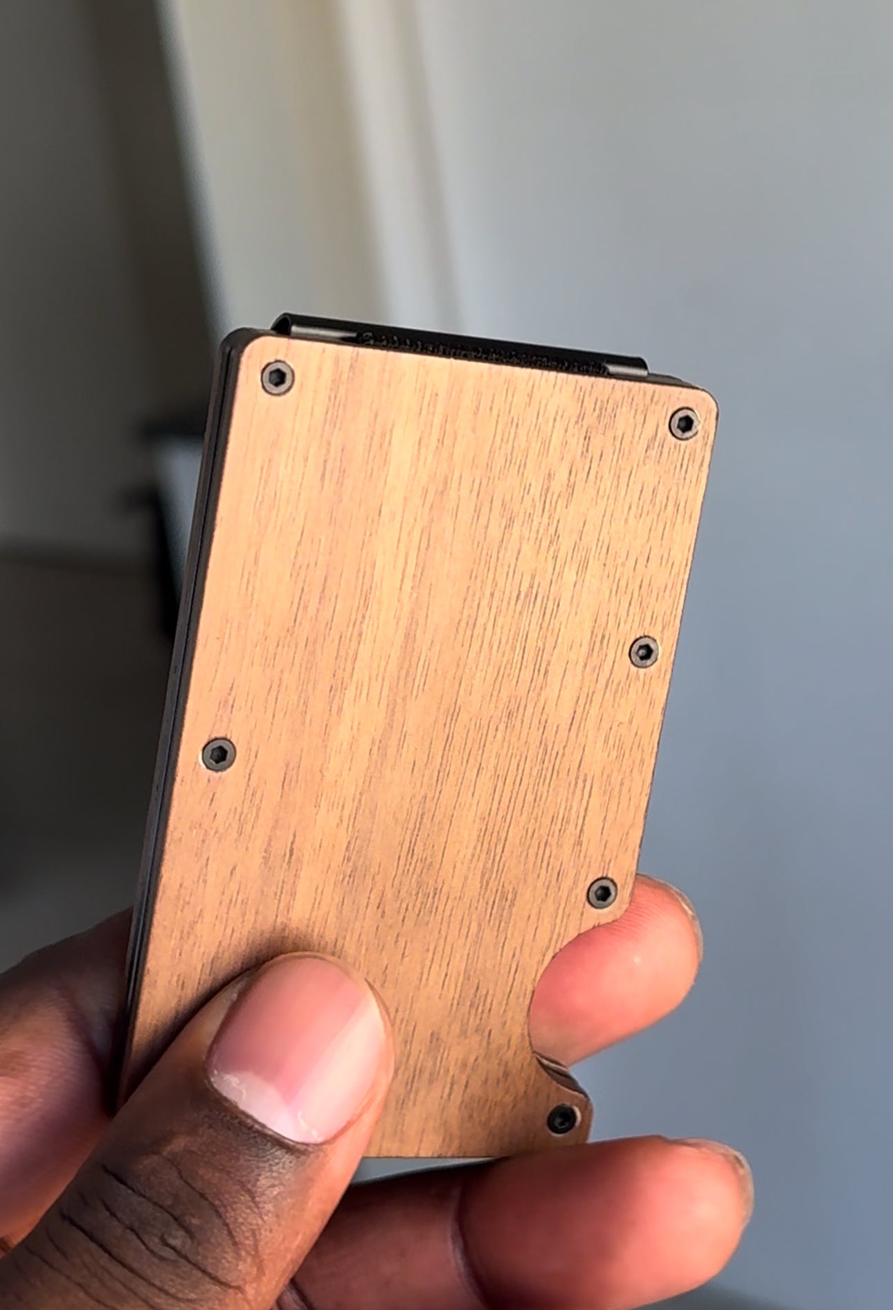 Minimalist Holder Wallet